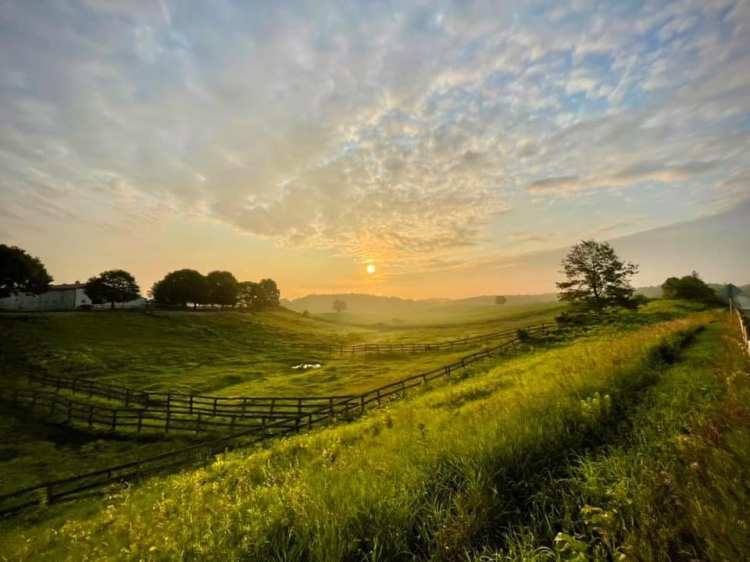 Uncommonly Grand