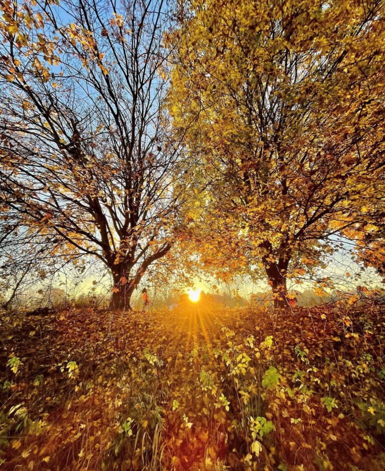 A Fall Colour Bike Ride on the TH&B Rail Trail – Uncommonly Grand