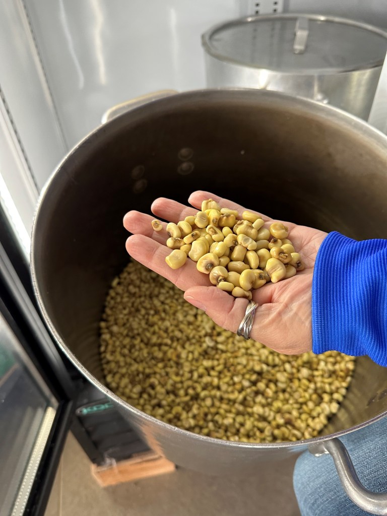 Hand holding processed white corn