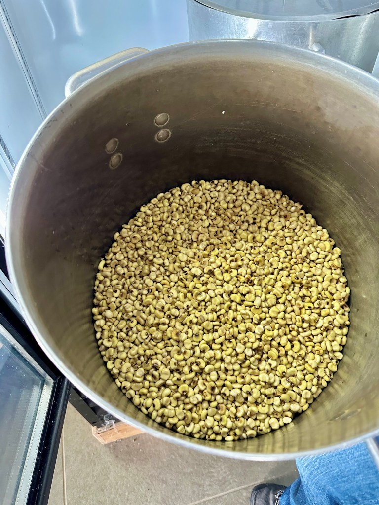 Processed white corn